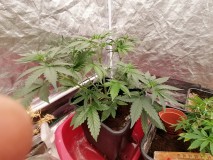 IMG_20230912_100307