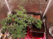 IMG_20230916_134230