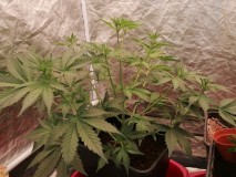 IMG_20230916_134238