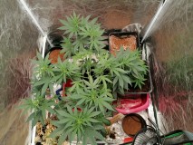 IMG_20230920_103542