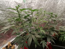 IMG_20230920_103553