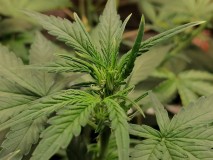 IMG_20230920_103610