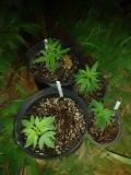 IMG_20230923_182622
