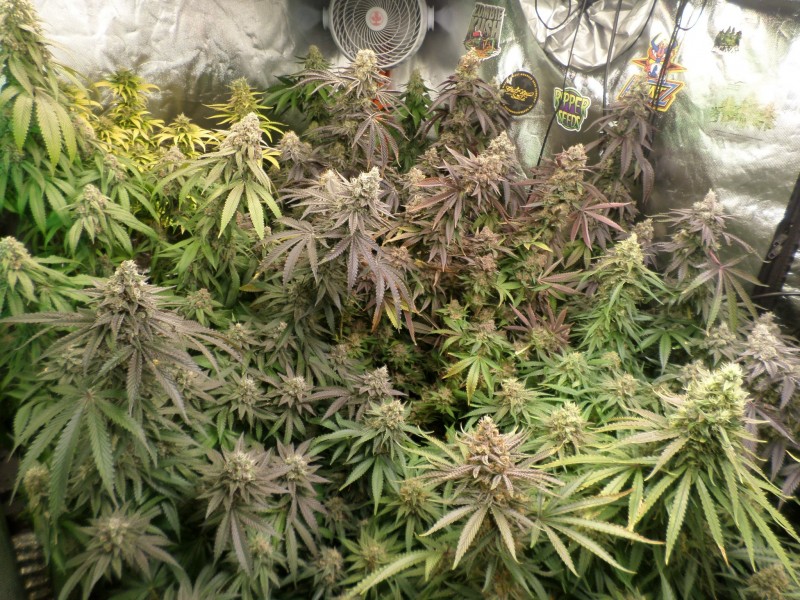 day57left