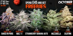 Attitude_ASB_OctoberPromo_Oct2023_Slider