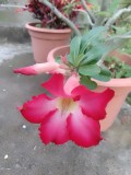 IMG_20231007_071836