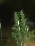 IMG_20231010_195304