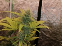 IMG_20231015_100416