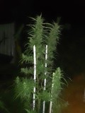 IMG_20231020_183758