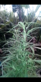 Screenshot_20231021-133526