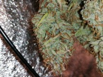 IMG_20231030_075712