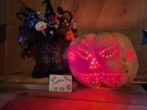 16988666143633451005201559113514