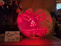 16988667831864709810820754306210