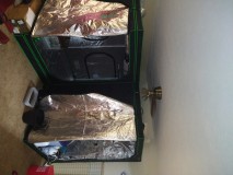 IMG_20231120_125008118