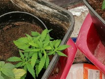 IMG_20231121_090622