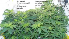 drobes 22 11 23 025