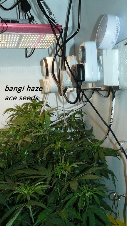 drobes 22 11 23 029
