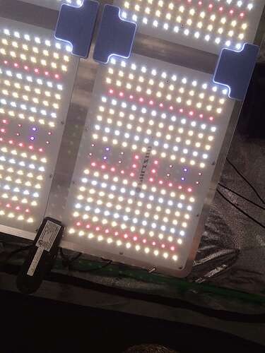 Phlizon PL4500 450W Full-spectrum UV/IR LED Grow Light