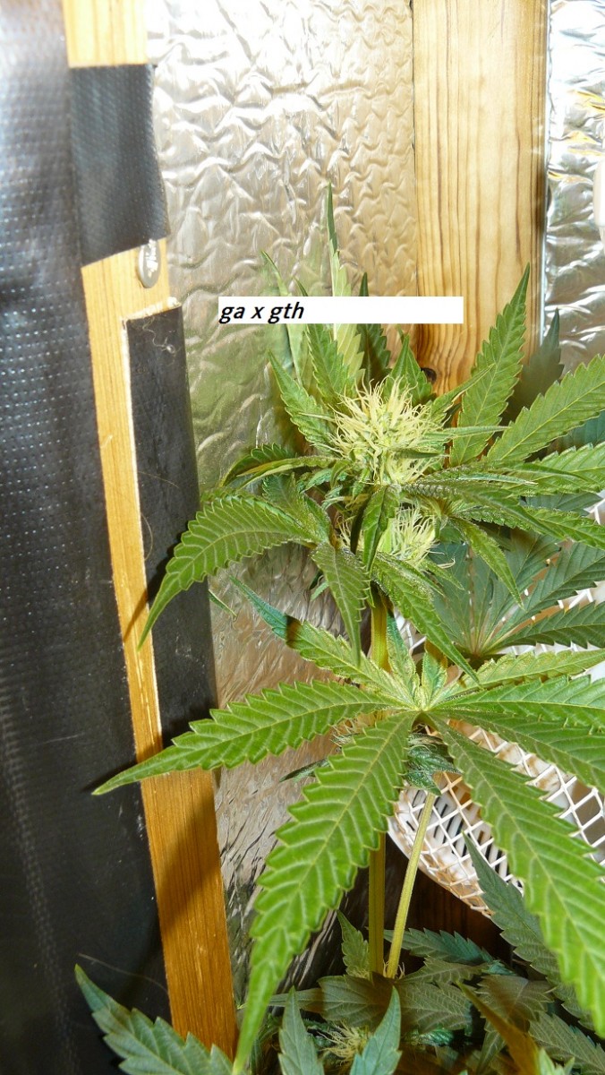 drobes 29 11 23 036