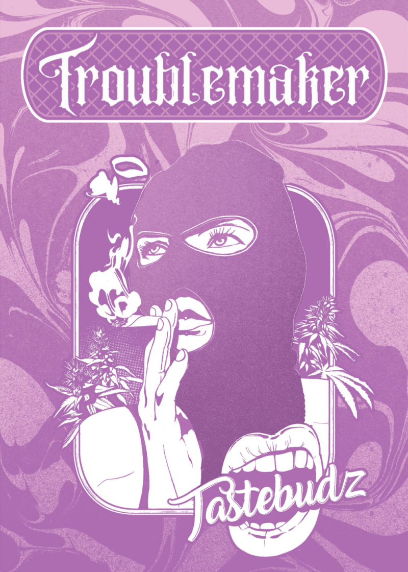 Troublemaker