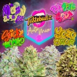 Tastebudz Auto Mix 2