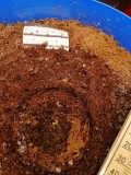 IMG_20231216_140110