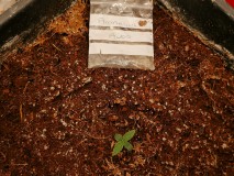 IMG_20231219_090248