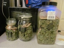 9days dried (3)