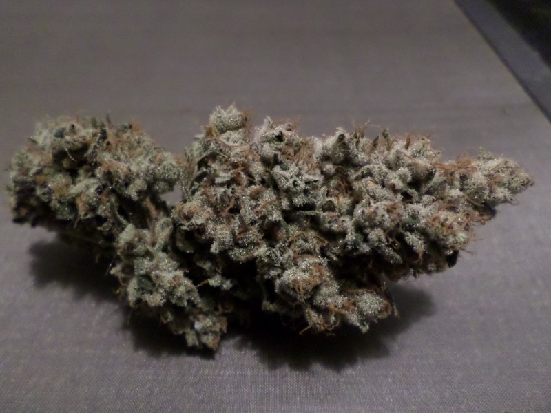 ghcheesenugfrost