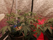 IMG_20240114_105636