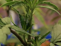 IMG_20240114_105714