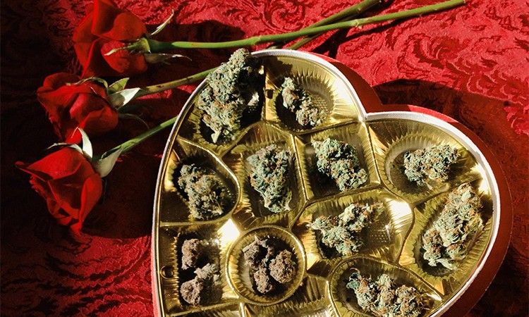 cannabis-assortment-heart-valentines4