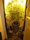 23 days bloom (3)