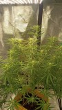 IMG_20240319_163924599