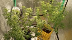 IMG_20240320_110845372