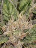 IMG_20190908_182552