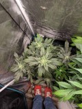 IMG_20190908_182259