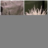 PicsArt_09-08-06.35.12
