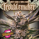 trouble maker