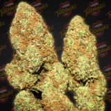 GorillaGas