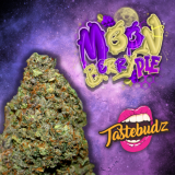 MoonberryPieAuto