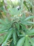 IMG_20240411_174824
