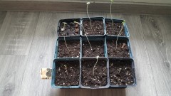 20150222_070323