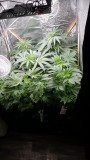 20150422_155928
