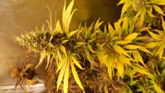 20150506_142132