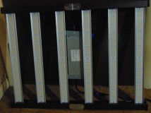 DSC00165