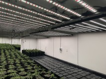 phlizon_fd9600_1000w_led_grow_light (2)