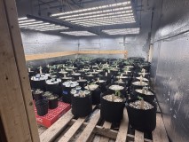 fd9600_1000w_phlizon_led_grow_light (1)
