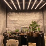 PH-B10-D_LED_GROW_LIGHT_PHLIZON (2)