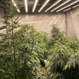 PH-B10-D_LED_GROW_LIGHT_PHLIZON (4)